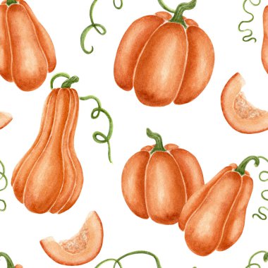 Turuncu Balkabağı desenli. Çeşitli dilimli balkabaklarının sonbahar suluboya çizimi. Duvar kağıdı, afiş, tekstil, kartpostal veya ambalaj kağıdı için kullan