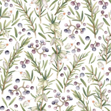 Beyaz Heather ve Mor Böğürtlenler. Davetiyeler, kartpostallar ve diğer kırtasiyeler için suluboya resimleme