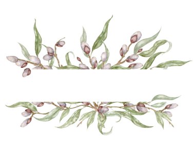 Willow Flowers and Leaves Cutout Frame. Botanical watercolor illustration of pussy willow. Perfect for your spring-themed wallpaper, banners, textiles, postcards, or wrapping paper