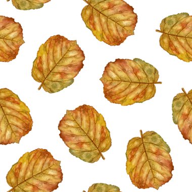 Suluboya Hazel Tertemiz Yapraklar. Turuncu ve sarı kayın yapraklarının kusursuz suluboya desenleri. Sonbahar kumaşları, hatıra defteri, ambalaj kağıdı ve mevsimlik dekorasyonlar için mükemmel bir tasarım.