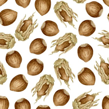 Beyaz arka planda kabuklu ya da kabuksuz kusursuz suluboya fındık deseni. Yemek temalı tasarım, ambalaj ve mutfak tekstili için ideal