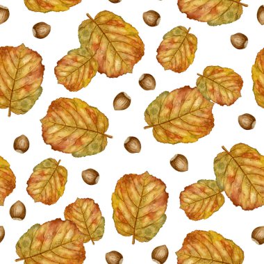 Suluboya Hazel Yaprağı ve Fındıksız Desen. Sonbahar renklerinde suluboya fındık yaprakları ve fındıklar. Sonbahar temalı tekstil, hatıra defteri ve ambalaj kağıdı için ideal
