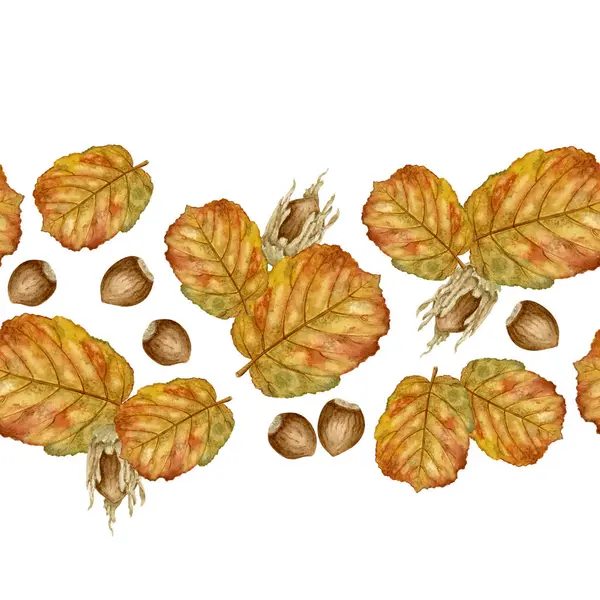 Suluboya Hazel Yaprağı ve Fındıksız Sınır. Yatay elle boyanmış, sonbahar fındık yaprakları ve fındıklı botanik kenarı. Sonbahar kartları, mevsimlik başlıklar ve davetiyeler için harika.