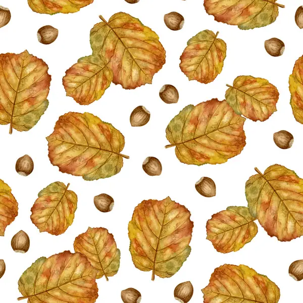 Suluboya Hazel Yaprağı ve Fındıksız Desen. Sonbahar renklerinde suluboya fındık yaprakları ve fındıklar. Sonbahar temalı tekstil, hatıra defteri ve ambalaj kağıdı için ideal
