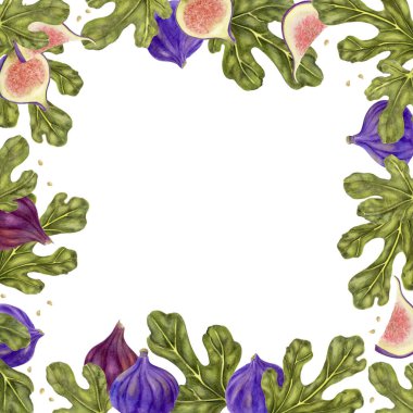 Yapraklı suluboya İncirli Meyve Kuyusu. Olgun mor incir ve yemyeşil yapraklardan oluşan botanik bir çerçeve. Gıda ambalajı, tarif kartları, davetiyeler ve doğal tasarım projeleri için ideal