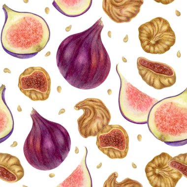 Taze ve Kurutulmuş İncirli Kusursuz Desen. Hassas suluboya ve kalemle boyanmış kuru, taze ve dilimlenmiş incirlerle karışık incir çeşitleri. Mutfak malzemeleri, yemek tarifi tasarımları ve çevre dostu ambalaj için ideal.