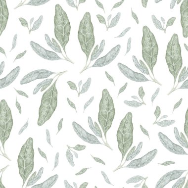 Sage Sage Leaf Kusursuz Deseni. Temizlik ve koruma için kutsal bitki. Ruhani tasarımlar, cadılık projeleri, ay aşaması sanatı, hatıra defteri, ambalaj, tekstil, kırtasiye