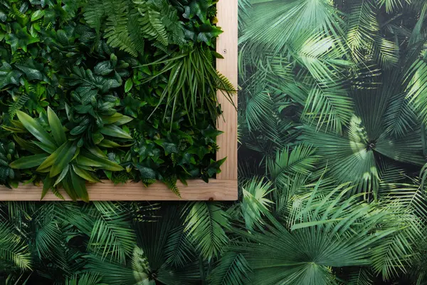 painting made of plant leaves, 3d painting made with plants and wooden frame on a wall with green tropical plant leaves wallpaper