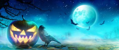 Ürkütücü bir gecede kuzgunla Cadılar Bayramı geçmişi.