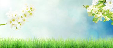 Kopyalama alanı olan bahar afişi arkaplanı.