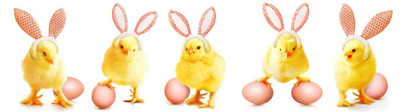 Húsvéti Dekoráció Csirkével Húsvét Ünnep Koncepció Aranyos Csaj — Stock Fotó