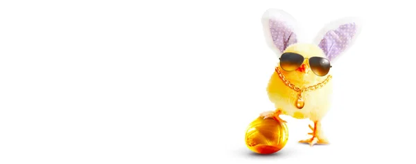 Húsvéti Dekoráció Hűvös Csirkével Húsvéti Ünnepi Koncepció — Stock Fotó