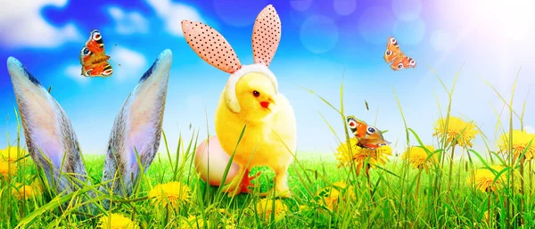 Velikonoční Dekorace Kuřetem Velikonoční Dovolená Koncept Roztomilé Kuřátko — Stock fotografie