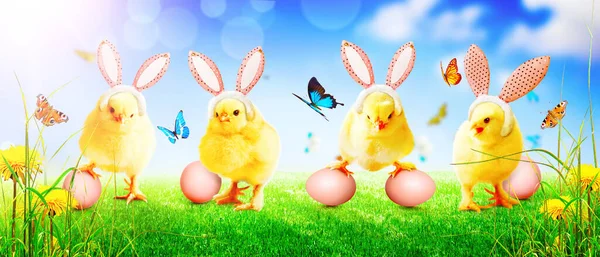 Wielkanocna Dekoracja Kurczakiem Wielkanoc Koncepcja Święta Cute Chick — Zdjęcie stockowe