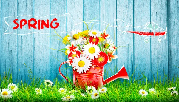 Spring Flowers Watering Can Gardening Tools Equipment — Stock Photo, Image