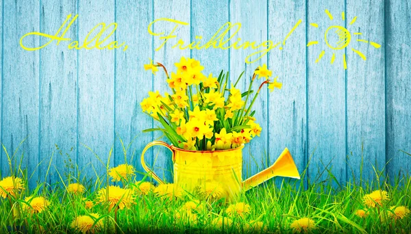 Wiosenne Kwiaty Puszce Narzędzia Urządzenia Ogrodnicze — Zdjęcie stockowe