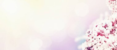 Kopyalama alanı olan bahar afişi arkaplanı.