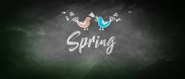 Spring Dekoratív Felirat Betűkkel Kreatív Tavaszi Koncepció — Stock Fotó