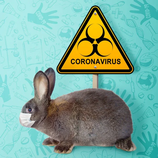 Composition Pâques Avec Thème Coronavirus Quarantaine Pâques — Photo