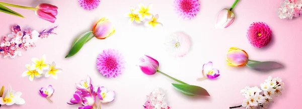 Bahar Çiçeklerinin Arka Planında Bayram Kartı Var — Stok fotoğraf