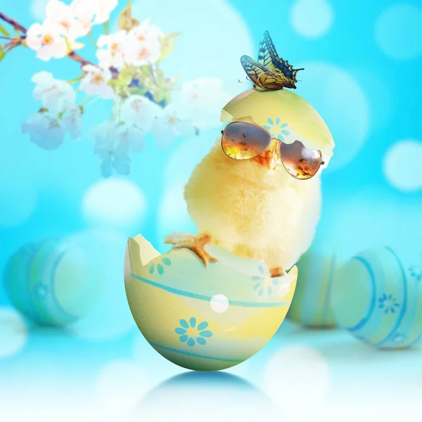 Wielkanocna Dekoracja Chłodnym Kurczakiem Koncepcja Świąt Wielkanocnych — Zdjęcie stockowe