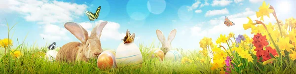 Velikonoční Kompozice Králíkem Slavnostní Dekorace Veselé Velikonoce — Stock fotografie