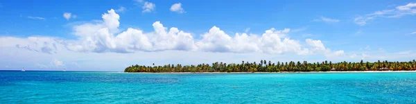 Palm Beach Tropical Paradise Travel Concept — Stock Photo, Image