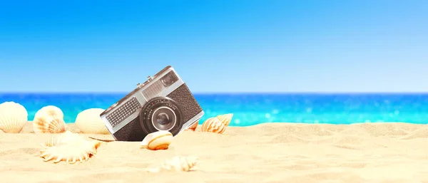 Schelpen Aan Zee Strand Vakantie Achtergrond — Stockfoto