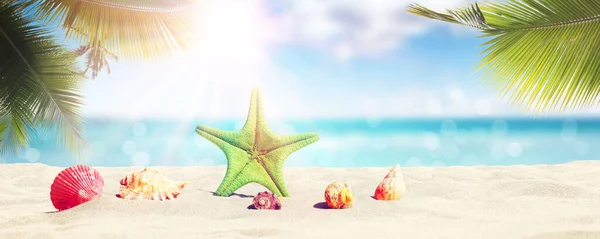 Піщаний Пляж Чудовою Зіркою Біля Моря Сонячний Літній День Стокове Фото