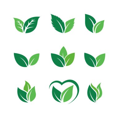 Set of Green Leaf Logo design inspiration vector icons clipart