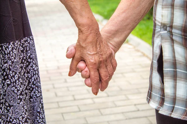 grandparents holding hands. people selections focus