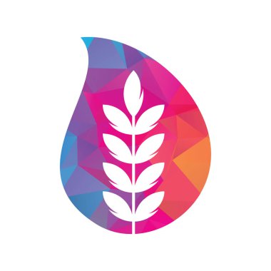 Buğday tanesi damla şekil vektör logosu tasarımı.
