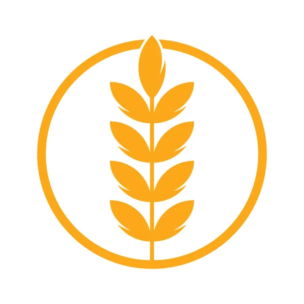 Wheat Grain Icon Vector Logo Design Simple Wheat Grain Vector — Stock Vector