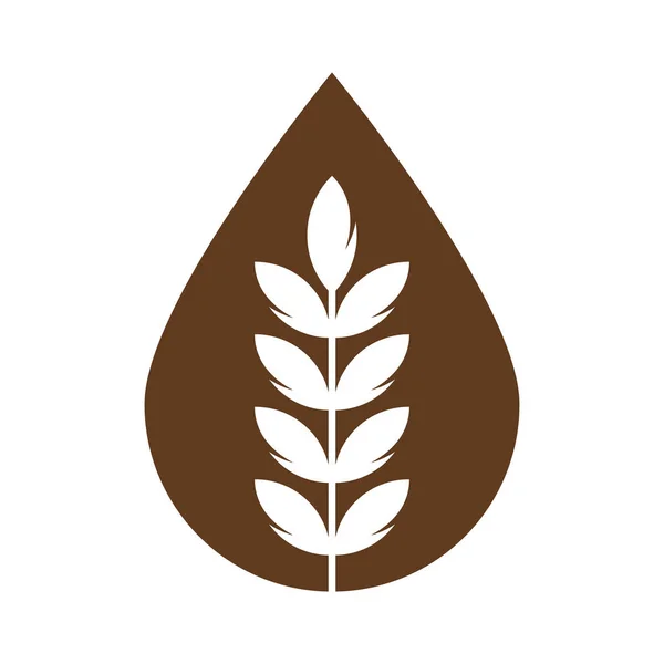 小麦粒ドロップ形ベクトルのロゴデザイン — ストックベクタ