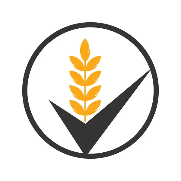 Buğday Tanesi Kontrol Logosu Tahıl Logosu Kavram Simgesi Simgesi Tasarım — Stok Vektör