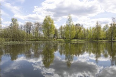 Sudaki ağaçların yansıması. Baharın başlarında