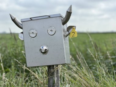 Hollanda, Friesland 'da Hitzum civarındaki bir çiftlikte posta kutusu.