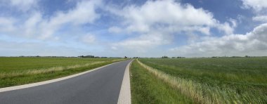 Panorama, Hollanda, Friesland 'daki Tzum çevresindeki tarım arazisinden geçiyor.