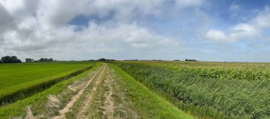 Panorama from the Slachtedyke path towards Achlum in Friesland the Netherlands