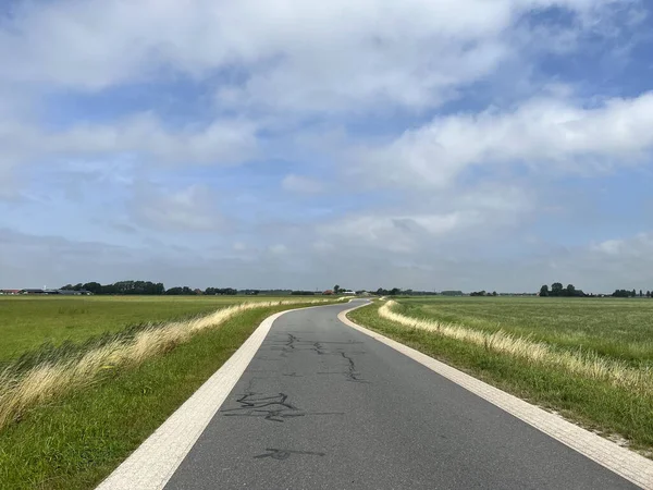 Straße Durch Ackerland Rund Tzum Friesland Niederlande — Stockfoto