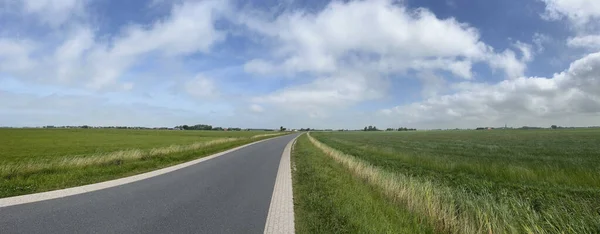 Панорама Дороги Через Сільськогосподарські Угіддя Навколо Цзума Фрісленді Нідерланди — стокове фото