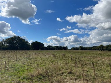 Hollanda 'nın Overijssel kentindeki Dalfsen çevresindeki doğa