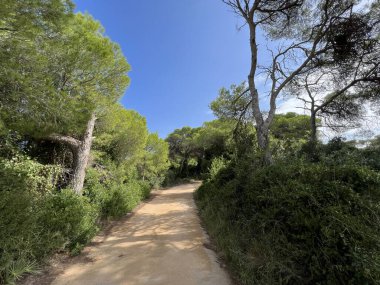 İspanya 'da El Saler çevresindeki yol