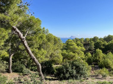 İspanya 'da Albir çevresindeki Park Doğal Serra Gelada Ormanı