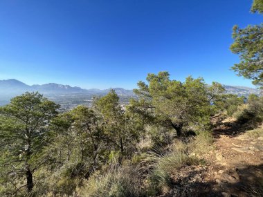 İspanya 'da Albir civarında, Parkın Alt del Governador' unda yürüyüş yolu.
