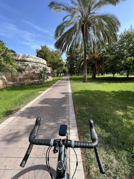 Ciclismo Por Los Jardines Del Turia Valencia España — Foto de Stock