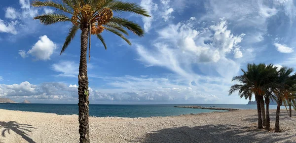Spanya Nın Altea Plajındaki Palmiye Ağaçlarından Panorama — Stok fotoğraf