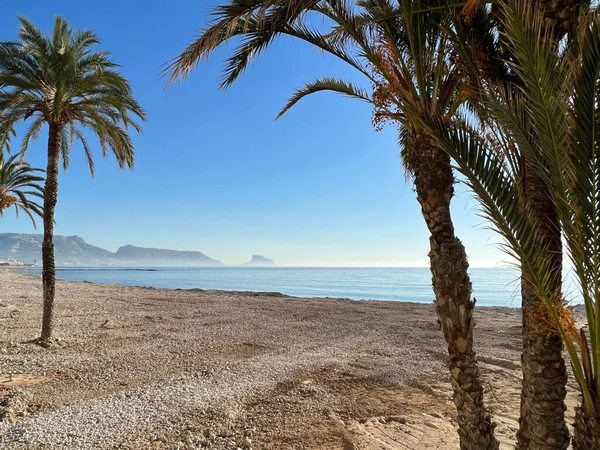 Palmbomen Het Strand Van Altea Spanje — Stockfoto