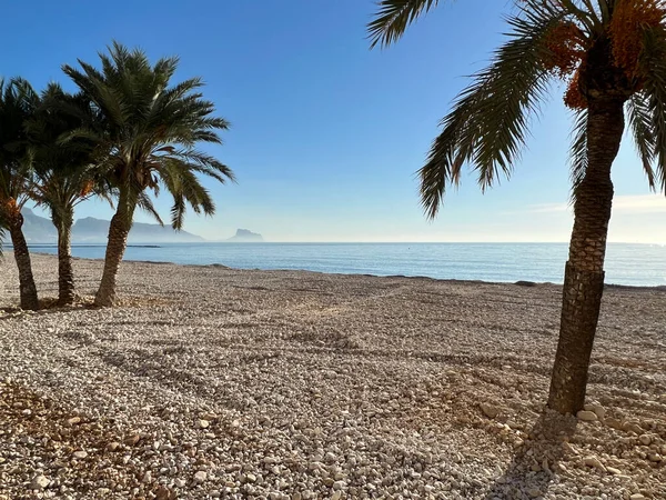 Palmbomen Het Strand Van Altea Spanje — Stockfoto