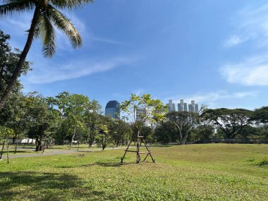 Bangkok Tayland 'daki Benchakitti Orman Parkı